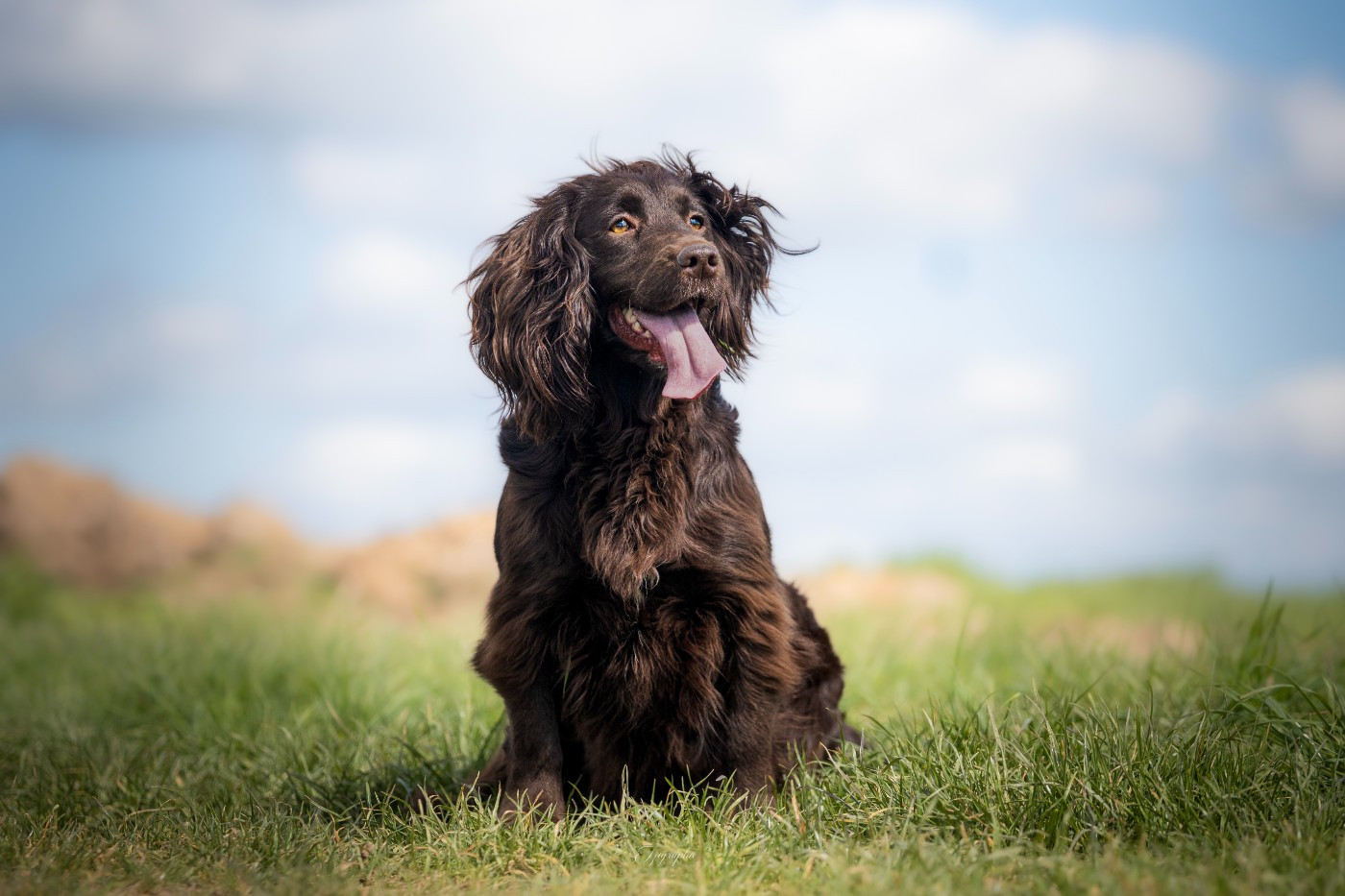 Wheelies full speed of Glharama