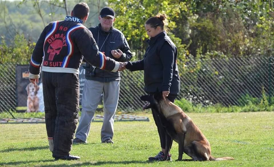 Sport canin: le Ring Français